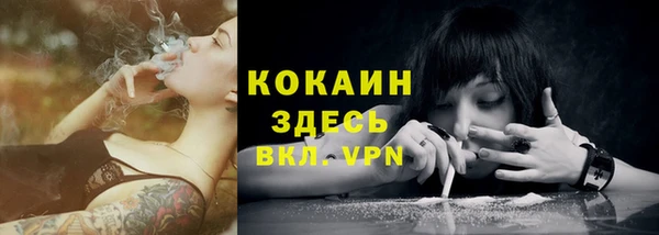 2c-b Вяземский