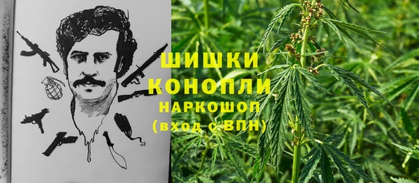 2c-b Вяземский