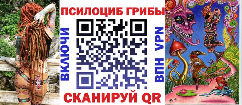 Псилоцибиновые грибы Psilocybe  Купить закладки  Наро-Фоминск 